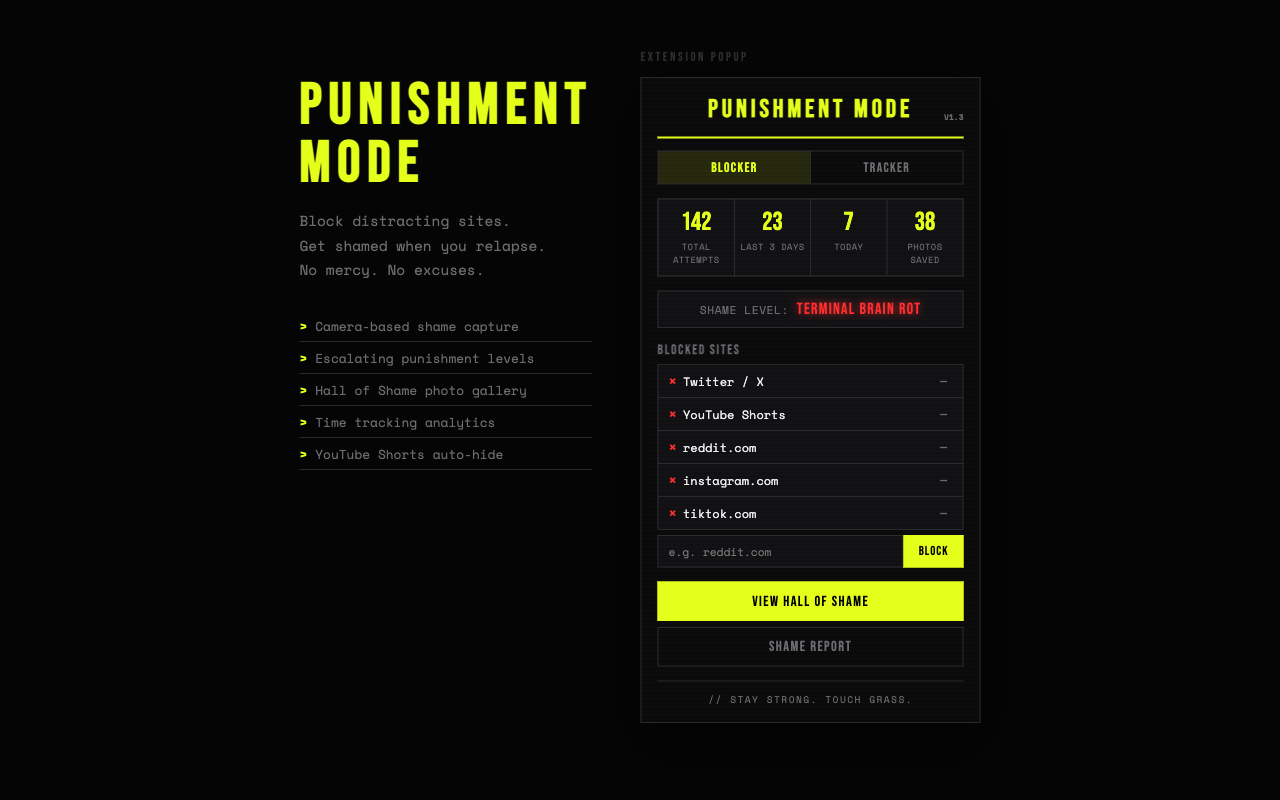 Extension popup interface